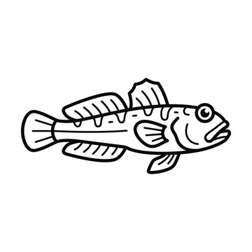 Detailed mudskipper fish line art for educational use