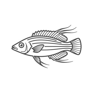 Threadfin fish with long fins line art drawing
