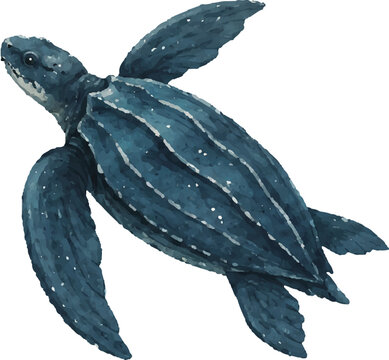 Leatherback Sea Turtle Vector Illustration with Modern Marine Wildlife Design.eps