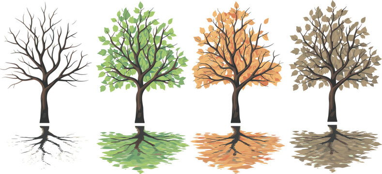 Set of four deciduous trees representing the four seasons with different foliage colors for nature and environment concepts