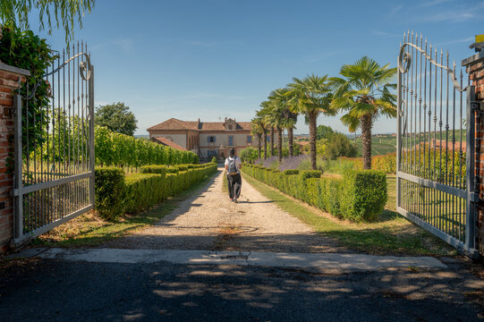 View of a person walking along a gravel path through open iron gates towards a historic villa with palm trees and vineyards in La Morra, Piedmont, Italy.