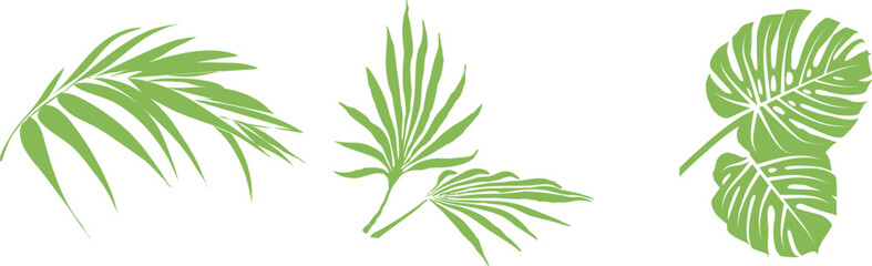 Fototapeta premium Tropical Leave Icon Vector set, Botanical Nature Symbol, Exotic Foliage Design, Jungle Plant Sign, Eco Element Collection, Organic Set, Leaf Group, Outline Graphic for Web and Print.