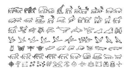 Hand-drawn animal icon set, a diverse collection of wildlife illustrations, nature and safari animals, vector graphics for educational materials and conservation projects. © Haseeb's Work