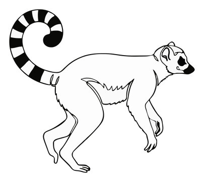 Running ring-tailed lemur continuous line art vector. Generative AI