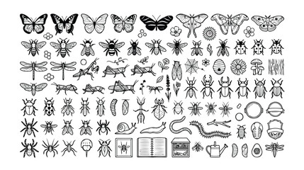 Insect and Bug Icon Set, detailed entomology collection, black and white vector graphics, nature study and science education resources, 100+ outline illustrations. © Kuch_Bhi