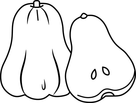Simple wax apple (Java apple) line art vector illustration featuring whole and cut fruit. Perfect for coloring books, educational materials, tropical fruit themes, and printable projects.
