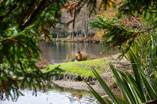 View of a person sitting on a grassy bank by the lake at McLaren Falls Park, framed by lush green and autumn foliage in Omanawa, Bay of Plenty Region, New Zealand.