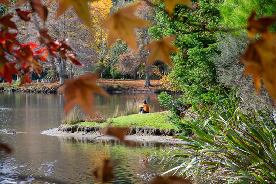 View of a person sitting on a grassy bank at McLaren Falls Park, framed by autumn leaves and reflected in the calm lake water in Omanawa, Bay of Plenty Region, New Zealand.