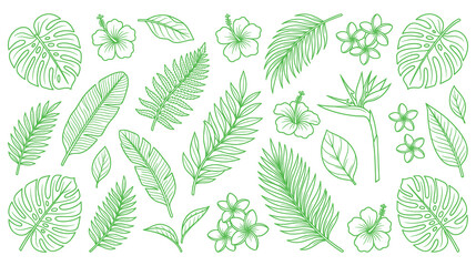 Naklejka premium Set of tropical jungle leaves and exotic flowers in green line art style design elements.