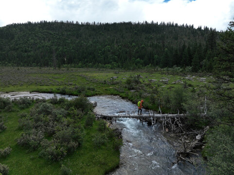 Woman hiker walking at one log bridge across the high altitude mountain stream, crossing the river.