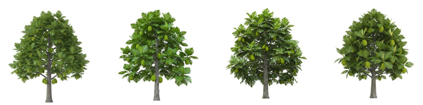 Four isolated breadfruit trees with green fruits on a black background