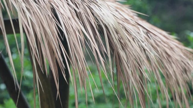 A traditional thatched roof hut stands beside a tranquil stream, surrounded by lush tropical greenery, symbolizing a peaceful and natural escape. straw roof background