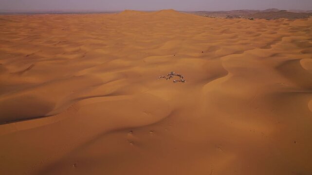 Camel caravan crosses Erg Chebbi near Merzouga, Errachidia Province, Dr&acirc;a-Tafilalet, Morocco, moving through wind-sculpted Sahara dunes, drone descent push in shot.