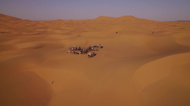 Camel caravan gathers within Erg Chebbi near Merzouga, Errachidia Province, Dr&acirc;a-Tafilalet, Morocco, surrounded by vast Saharan sand formations, drone shot.