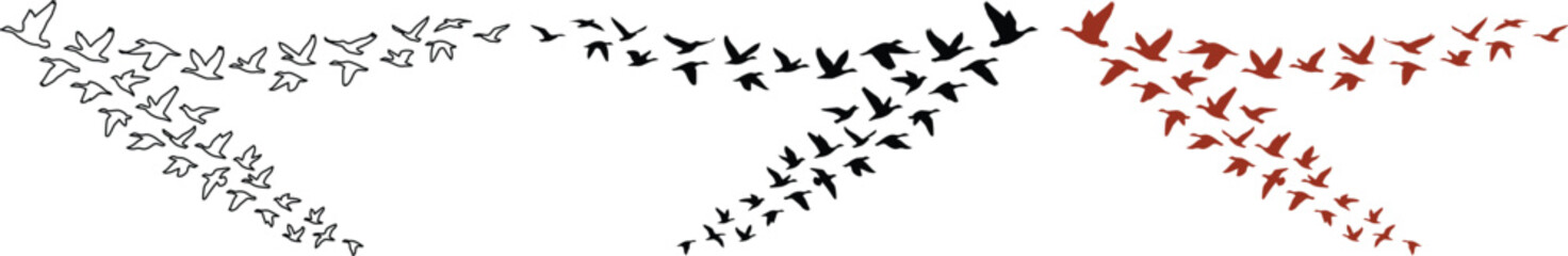 Bird Footprint Trails Vector Set. Abstract Animal Paw Prints, Wildlife Tracks, and Avian Footmarks. Nature-Inspired Design Elements for Outdoors and Exploration Themes. © Farzana
