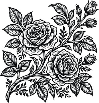 Detailed Rose Vine with Leaves and Buds