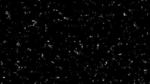 White scratches and roughness on a black screen. Effect of old film noise, 4K video