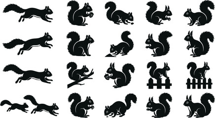 Fototapeta premium Black silhouettes of squirrels in various poses on white background