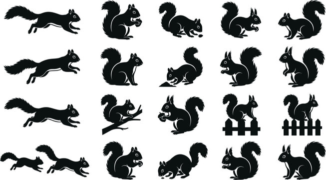 Black silhouettes of squirrels in various poses on white background