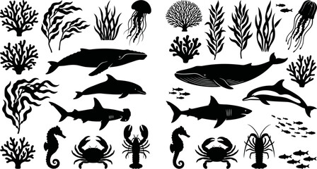 Black silhouettes of various sea creatures and plants on white background © SAYEDAJANNATUL