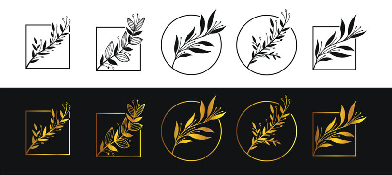 Luxury botanical leaves logo icon. Hand drawn leaves branch, Vector isolated illustration
