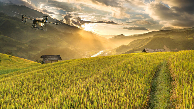 Farmers in the tech-savvy era are using agricultural drones and robots in their farming practices.