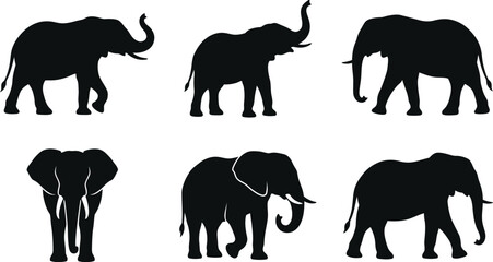 Obraz premium Six black elephant silhouettes in different poses on white background