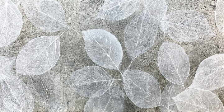 Ghost Leaf Silhouette Pattern Off White Gray Coarse Speckled Texture Layered Veins Natural Rustic Organic Background