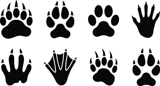  Animal Footprint Silhouette Set Paw Prints Claw Marks Wildlife Track Icons Collection