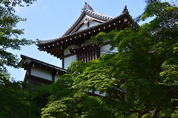 Fototapeta premium 秋田県 秋田市の千秋公園～久保田城跡