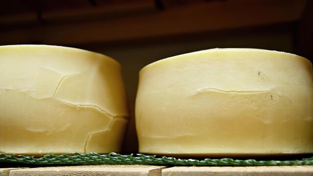 Close-up of two round blocks of butter on a wooden surface