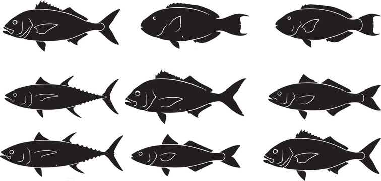 Black marine fish silhouette collection vector illustration, ocean wildlife species set, aquatic animal icons isolated on white background