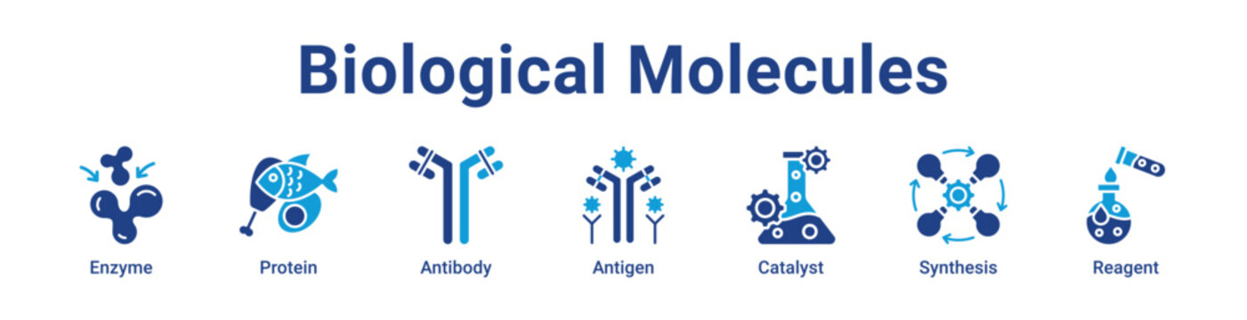 Biological Molecules Web Icon Banner and Collection