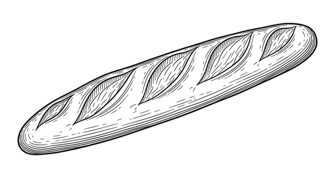 White-background Outline Vintage Isolated Baguette