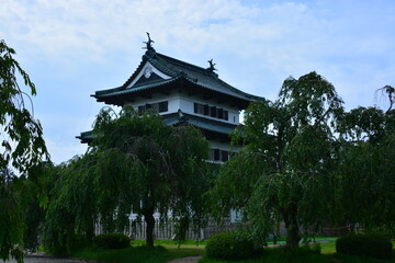 Naklejka premium 青森県 弘前市の弘前城