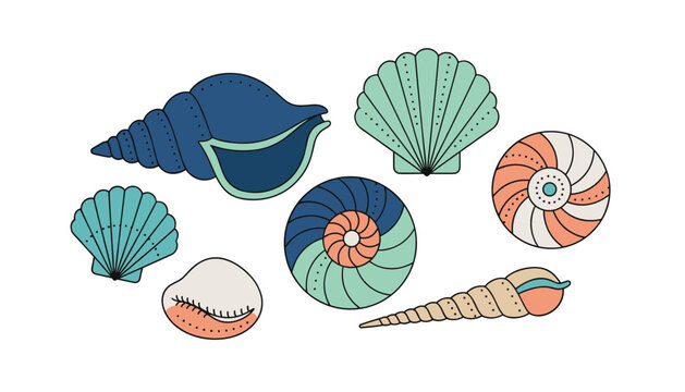 Set of diverse colorful seashells and conches illustration