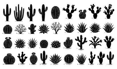 Desert Cactus and Succulent Silhouette Collection with Various Botanical Plant Species © Crafts Home