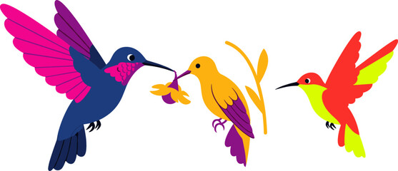 Obraz premium Tropical Hummingbird Avian Character Set with Flying Colorful Birds Drinking Nectar from Flower Buds and Perching on Plant Branch Vector Illustrations