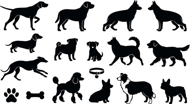 Dog breed black silhouettes collection including german shepherd labrador retriever poodle dachshund corgi and french bulldog vector icon set isolated on white