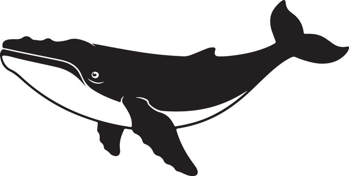 Whale Icon, Black Silhouette, Vector Illustration, Marine Animal Graphic