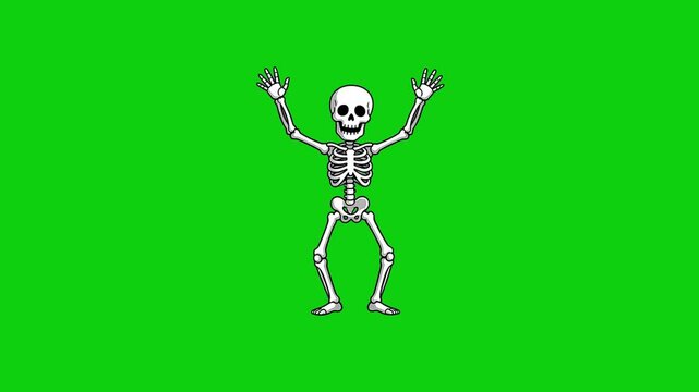 2D Flat Vector Seamless Loop Animation Halloween Skeleton Dancing Groovy Idle Green Screen