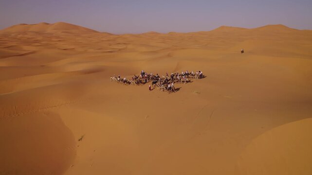 Tourist camel group gathers on Erg Chebbi near Merzouga, Errachidia Province, Dr&acirc;a-Tafilalet, Morocco, during a guided Sahara adventure experience, drone orbit shot.