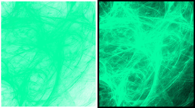 Abstract green neural network background, glowing mint fiber optic texture, organic bioluminescent web pattern for science and technology concepts