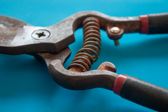 Old Garden Pruning Shears with Rusty Blades Isolated on Blue Background