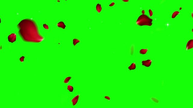 American flag stars with rose petals on green screen