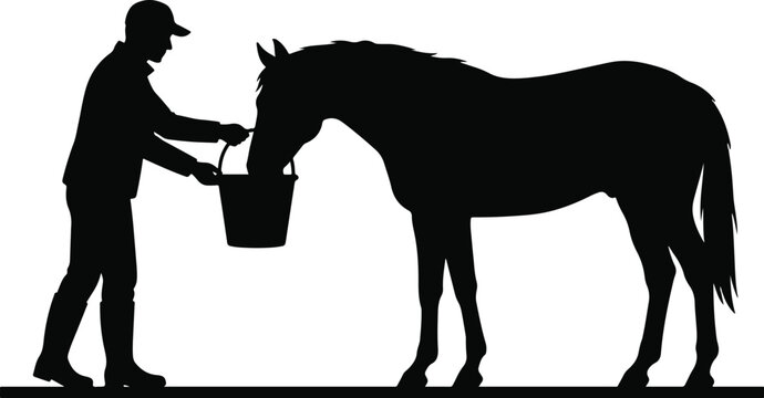 Silhouette of a man feeding a horse from a bucket on a farm