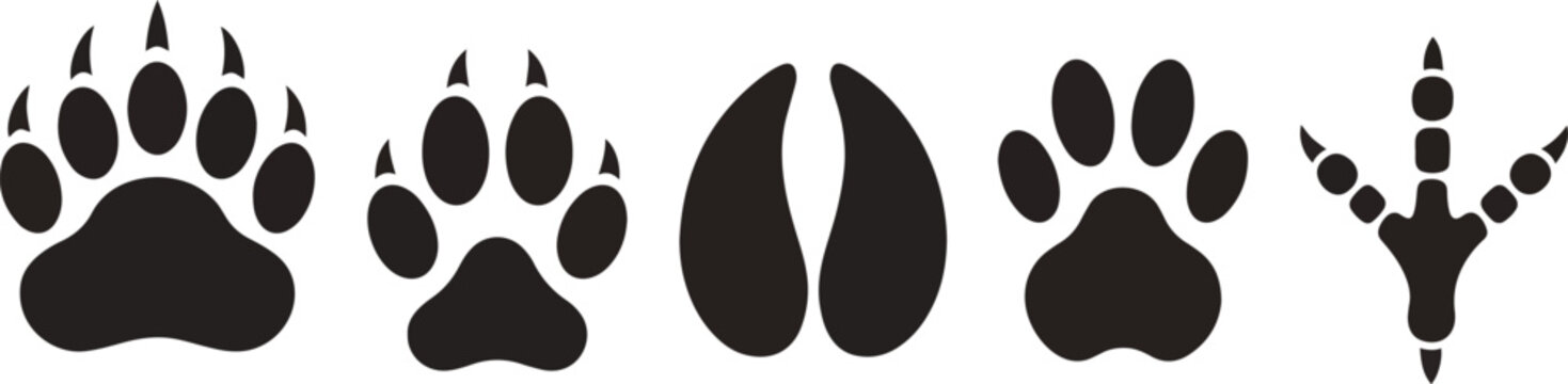Set of Various Wildlife Animal Tracks Silhouettes Including Bear Paw and Bird Footprints