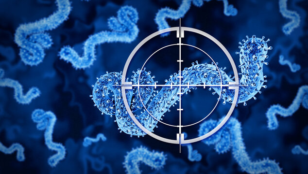 Bundibugyo Ebola Outbreak as a virus is a strain that causes severe viral hemorrhagic fever with symptoms including fever bleeding organ damage and potentially fatal illness.
