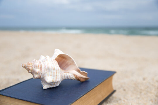 Enjoy reading and relaxing at the beach