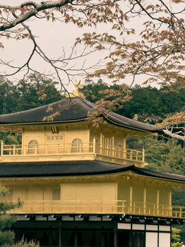 Golden temple in japan